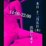 ヒメ日記 2024/12/05 11:20 投稿 守屋 熟女の風俗最終章 新横浜店