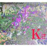 ヒメ日記 2024/12/13 01:00 投稿 守屋 熟女の風俗最終章 新横浜店