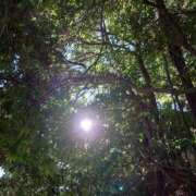 ヒメ日記 2024/12/29 10:56 投稿 守屋 熟女の風俗最終章 新横浜店