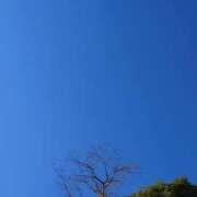 ヒメ日記 2024/12/29 15:11 投稿 守屋 熟女の風俗最終章 新横浜店