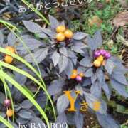 ヒメ日記 2025/01/11 18:26 投稿 守屋 熟女の風俗最終章 新横浜店