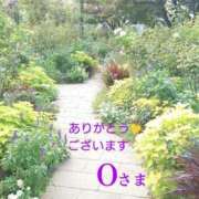 ヒメ日記 2025/01/23 16:56 投稿 守屋 熟女の風俗最終章 新横浜店