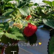 ヒメ日記 2025/02/09 10:43 投稿 守屋 熟女の風俗最終章 新横浜店