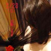 ヒメ日記 2025/02/23 09:26 投稿 守屋 熟女の風俗最終章 新横浜店