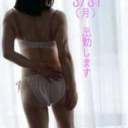 ヒメ日記 2025/03/31 09:30 投稿 守屋 熟女の風俗最終章 新横浜店