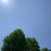 ヒメ日記 2025/04/27 11:56 投稿 守屋 熟女の風俗最終章 新横浜店