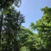 ヒメ日記 2025/05/05 13:06 投稿 守屋 熟女の風俗最終章 新横浜店