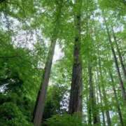 ヒメ日記 2025/05/07 15:13 投稿 守屋 熟女の風俗最終章 新横浜店