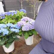 ヒメ日記 2025/05/23 21:58 投稿 守屋 熟女の風俗最終章 新横浜店