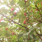 ヒメ日記 2025/05/31 14:06 投稿 守屋 熟女の風俗最終章 新横浜店