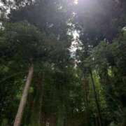 ヒメ日記 2025/06/04 13:46 投稿 守屋 熟女の風俗最終章 新横浜店