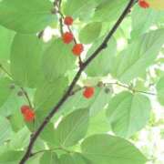 ヒメ日記 2025/06/05 10:21 投稿 守屋 熟女の風俗最終章 新横浜店