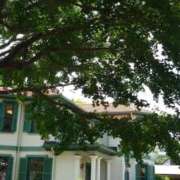 ヒメ日記 2025/06/20 17:18 投稿 守屋 熟女の風俗最終章 新横浜店