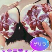 ヒメ日記 2025/10/17 17:07 投稿 守屋 熟女の風俗最終章 新横浜店