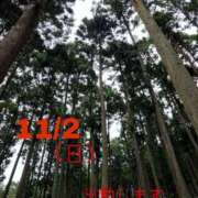 ヒメ日記 2025/11/01 21:56 投稿 守屋 熟女の風俗最終章 新横浜店