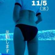 ヒメ日記 2025/11/05 08:56 投稿 守屋 熟女の風俗最終章 新横浜店