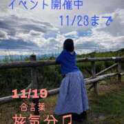 ヒメ日記 2025/11/19 13:49 投稿 守屋 熟女の風俗最終章 新横浜店