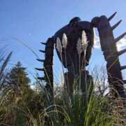 ヒメ日記 2026/01/08 15:30 投稿 守屋 熟女の風俗最終章 新横浜店