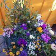 ヒメ日記 2026/03/12 14:49 投稿 守屋 熟女の風俗最終章 新横浜店