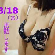 ヒメ日記 2026/03/17 21:37 投稿 守屋 熟女の風俗最終章 新横浜店