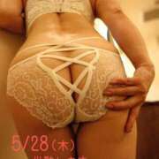 ヒメ日記 2026/05/28 17:46 投稿 守屋 熟女の風俗最終章 新横浜店