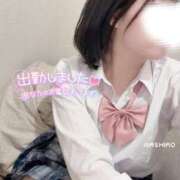 ヒメ日記 2025/04/16 11:23 投稿 ましろ ビデオdeはんど 横浜校