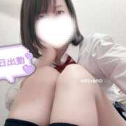 ヒメ日記 2025/04/30 09:03 投稿 ましろ ビデオdeはんど 横浜校