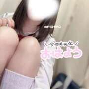 ヒメ日記 2026/01/07 10:13 投稿 ましろ ビデオdeはんど 横浜校