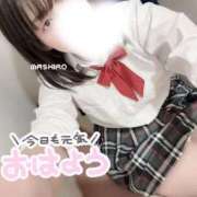 ヒメ日記 2026/01/20 08:53 投稿 ましろ ビデオdeはんど 横浜校