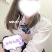ヒメ日記 2026/04/24 08:45 投稿 ましろ ビデオdeはんど 横浜校
