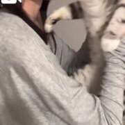 ヒメ日記 2025/04/10 02:26 投稿 ゆあ 俺のジュニア