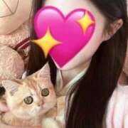 ヒメ日記 2025/07/30 14:58 投稿 ゆあ 俺のジュニア