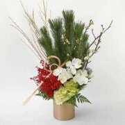 ヒメ日記 2025/01/20 13:30 投稿 関内光子 五十路マダム 岐阜店