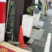 ヒメ日記 2025/01/30 13:48 投稿 あんり 2980円