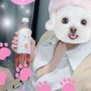 あんり 久しぶりの出勤です( ˊᵕˋ ;) 2980円