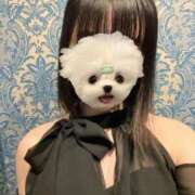 ヒメ日記 2024/12/13 19:34 投稿 いろは クレイジーキャバクラ パニック