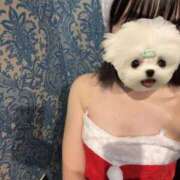 いろは ちょっとあわてんぼう クレイジーキャバクラ パニック