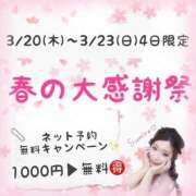 すみれ 【 告知 】春の大感謝祭 🌸 チューリップ姫路店