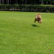 ヒメ日記 2025/09/02 18:27 投稿 ひめあ フロンティア