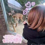 ヒメ日記 2025/04/08 10:33 投稿 シズク AMOUR（アムール）