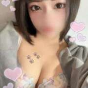 シズク 出勤🐾 AMOUR（アムール）