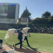 ヒメ日記 2026/03/13 09:58 投稿 わかな YESグループ　華女