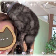 ヒメ日記 2026/03/21 17:24 投稿 わかな YESグループ　華女