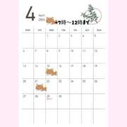 りりこ こんにちは(」・ω・) ハピネス東京