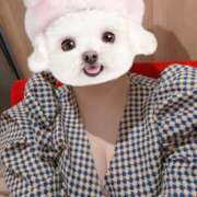 ヒメ日記 2025/04/06 20:18 投稿 さえ★可愛さ抜群未経験♡ Fuwa×Fuwaかなざわ。