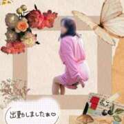 ヒメ日記 2025/06/11 11:10 投稿 吉川ともえ 五十路マダム 郡山店