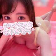 ヒメ日記 2025/06/21 10:19 投稿 むぎ マリン土浦本店