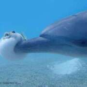 ヒメ日記 2025/07/05 00:57 投稿 結城　ゆうき 本庄人妻城