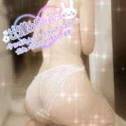 ヒメ日記 2024/12/11 13:25 投稿 えるの 奥様鉄道69 東京店