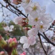 ヒメ日記 2025/04/08 16:26 投稿 あさみ 池袋 大奥